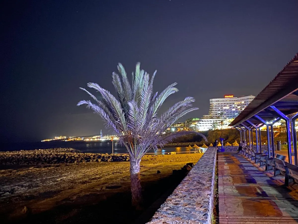 Las Flores Studio 1 Playa de las Americas  Spain